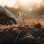 seed turning into harvest
