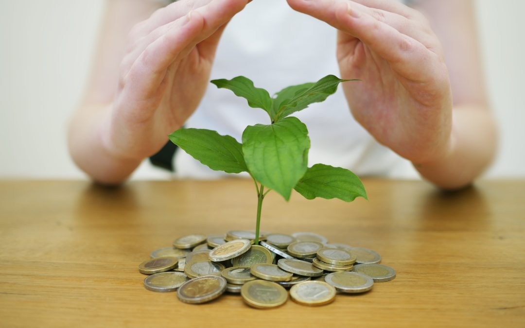 investing with risk