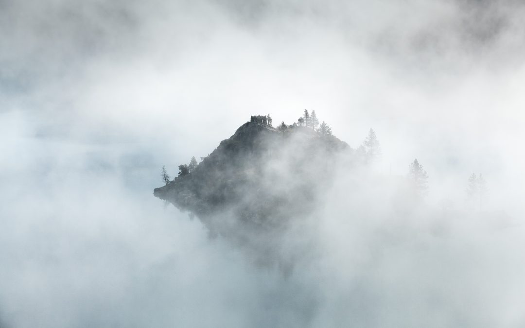 see through the fog