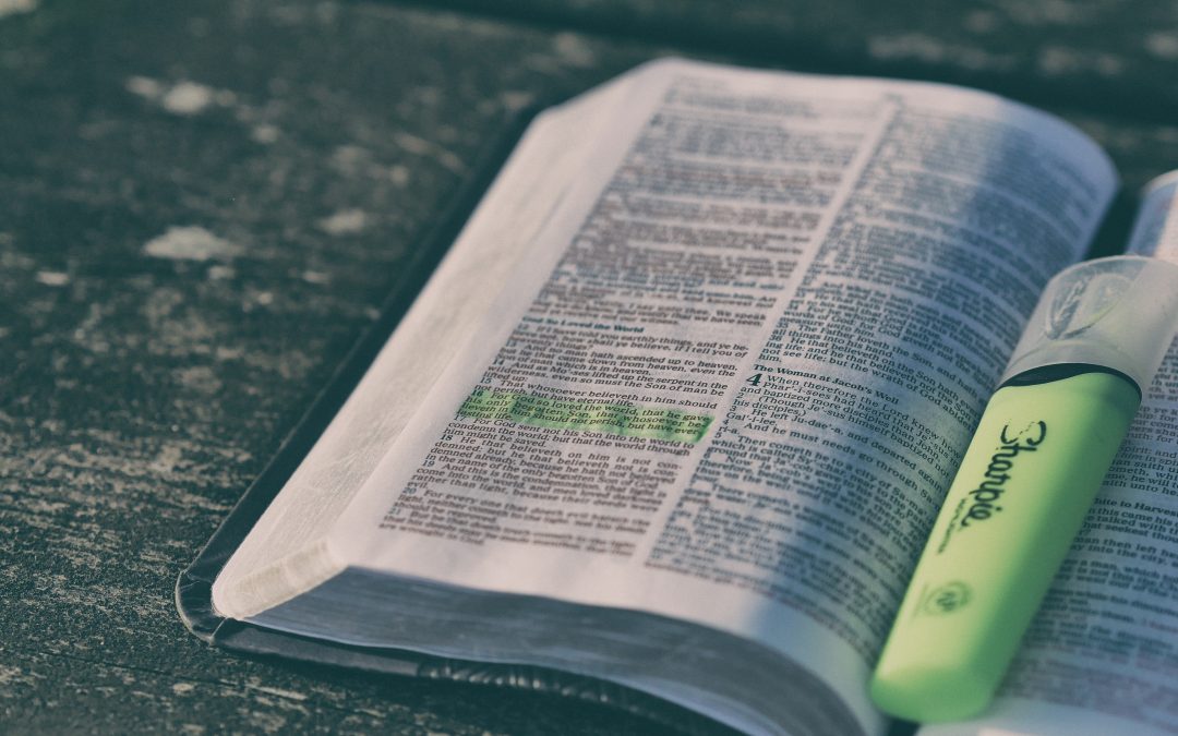 bible