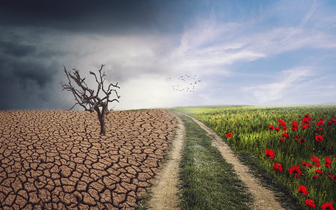 SEO vs GEO a changing landscape